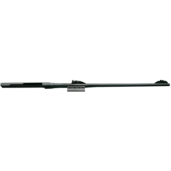 Benelli Argo E Wood 30.06s 56cm Sight