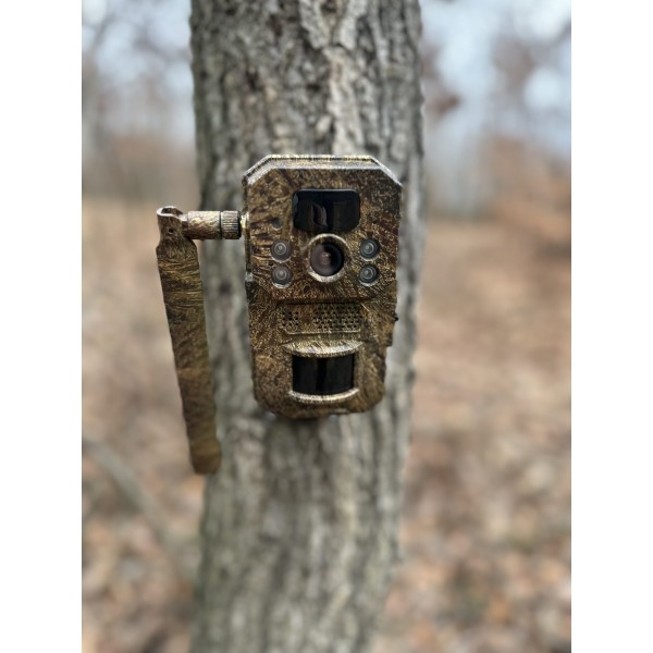 ForestCamLive F8Gps
