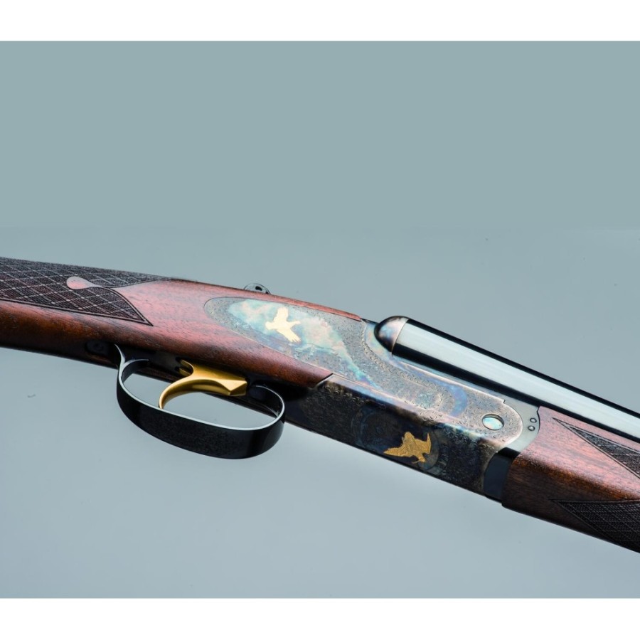 CLASICA ISIDE PRESTIGE TARTARUGA GOLD EM 410/76/71 5SOC