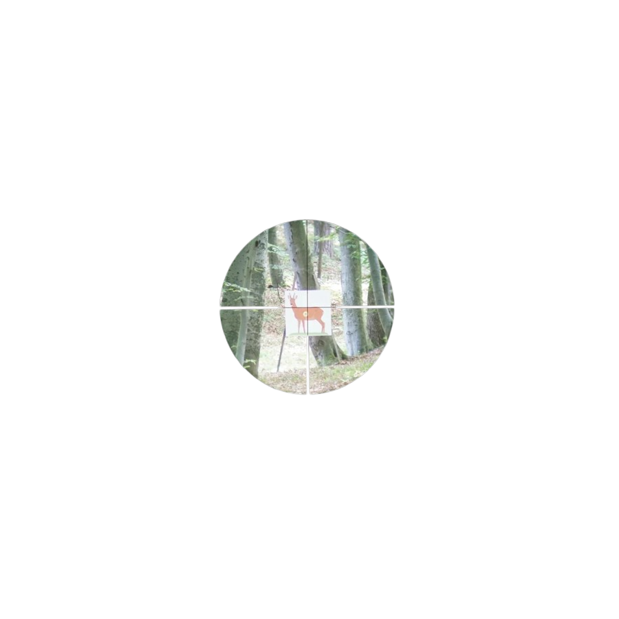 CONQUEST V6 2-12X50/IR60