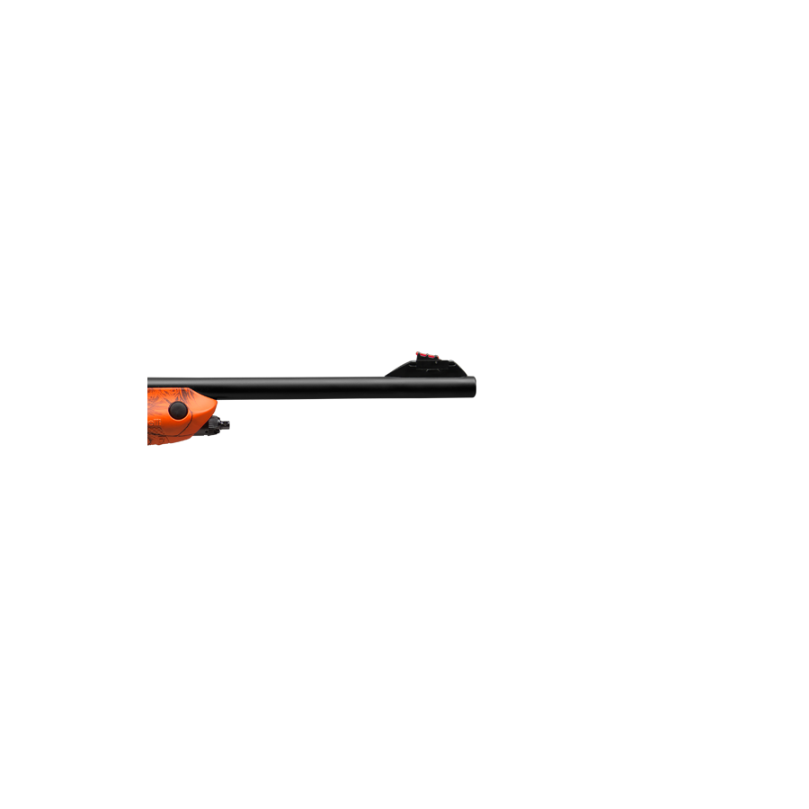 CATARE ARGO BENELLI