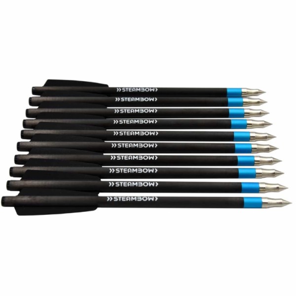 Sageti vanatoare carbon STEAMBOW AR-Series Light Match - pachet de 10
