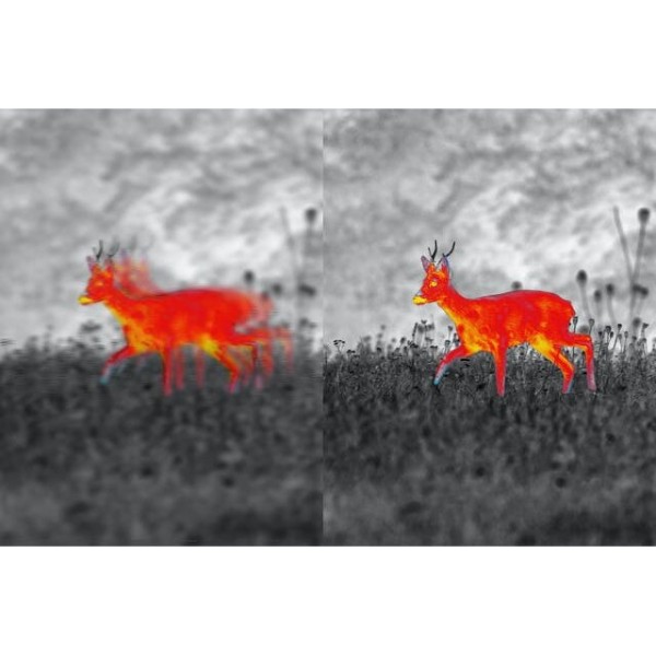 CAMERA VEDERE TERMICA ZEISS DTI 3/35