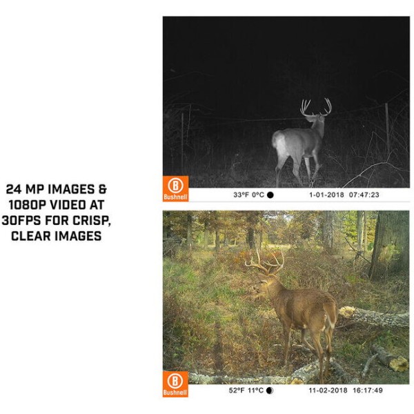 CAMERA VIDEO BUSHNELL 24MP SINGLE CORE BROWN/NO GLOW