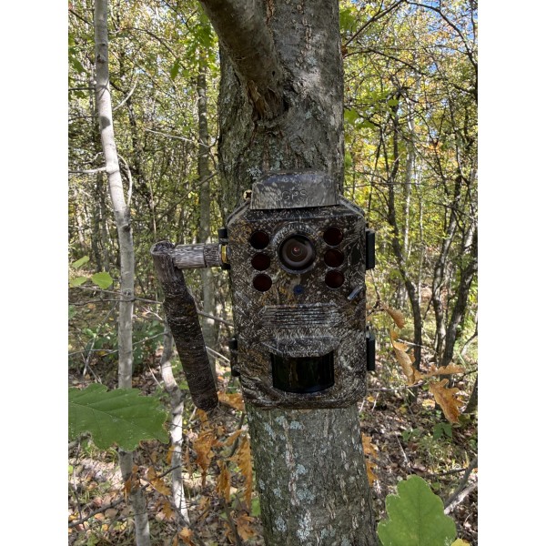 ForestCamLive F6G + Acumulatori + Panou Solar