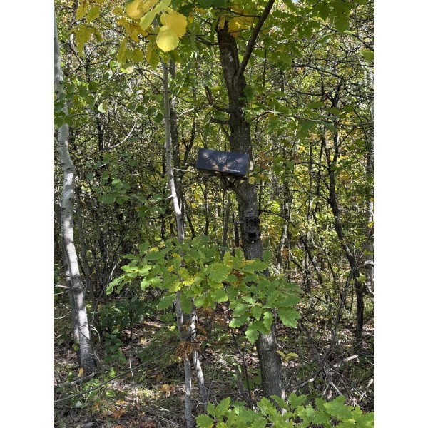 ForestCamLive F6G + Acumulatori + Panou Solar