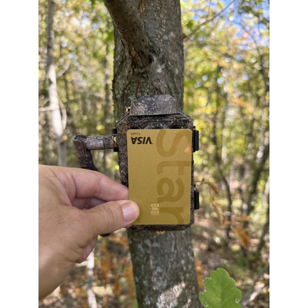 ForestCamLive F6G + Acumulatori + Panou Solar