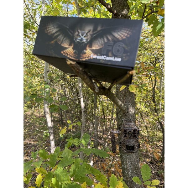 ForestCamLive F6G + Acumulatori + Panou Solar
