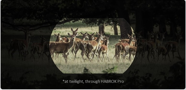 HIKMICRO HABROK Pro detector 4K UHD low light performance