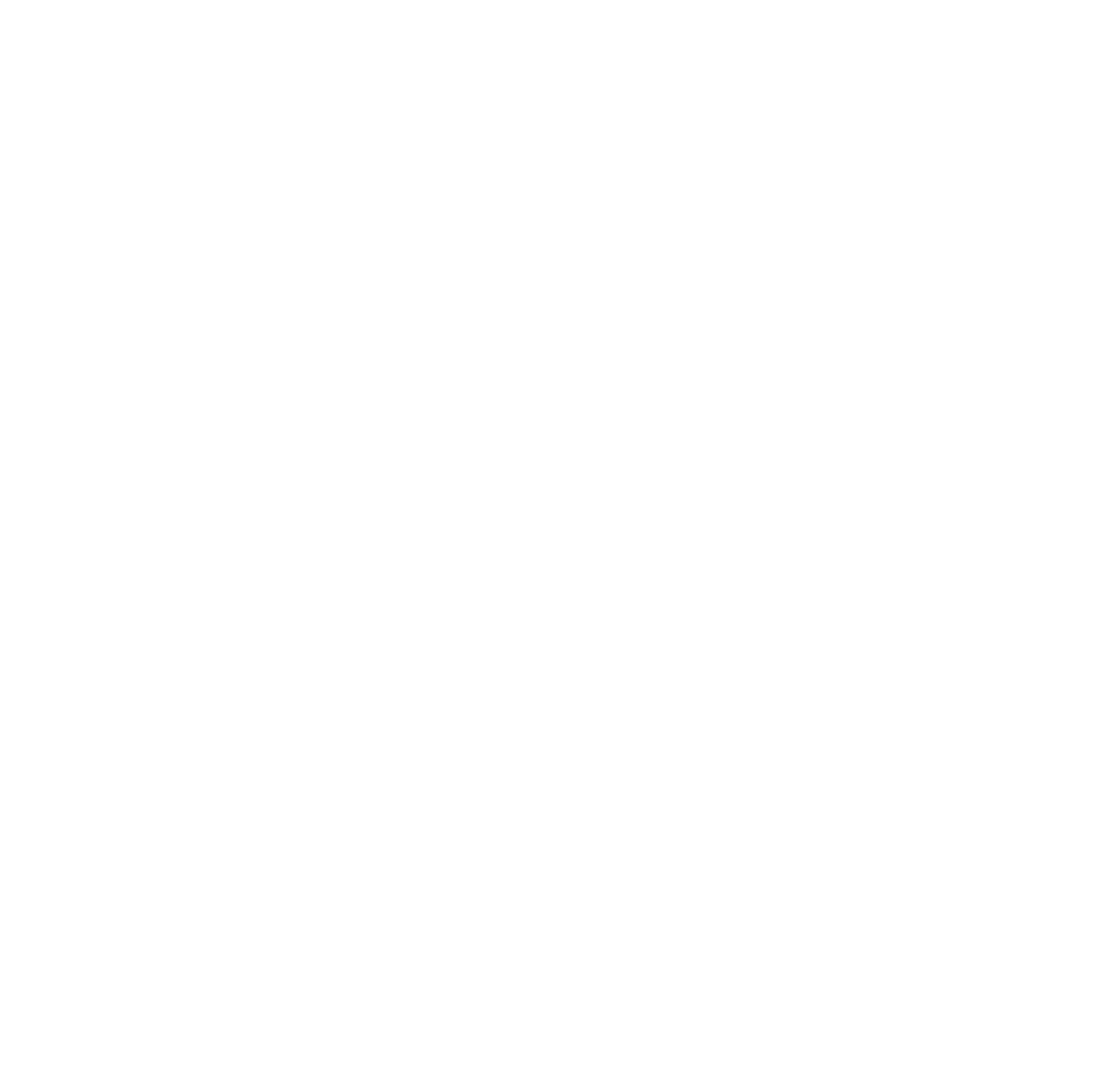 FOREST VISION